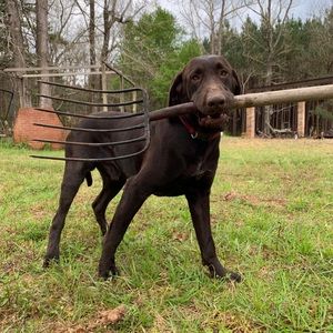 Meet your Posher, Charles